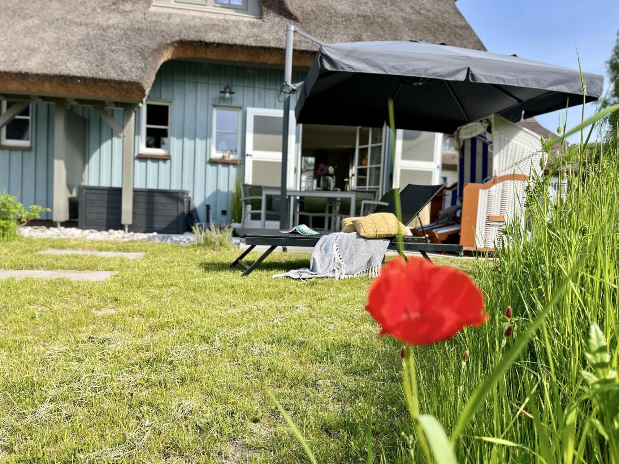 Ferienhaus Strandflieder 05 Feriendorf Klein Stresow Ruegen By Ruyastay Путбус Екстериор снимка